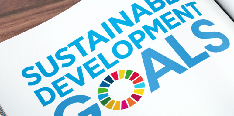 Sustainable Development Goals: tutto sugli SDGs