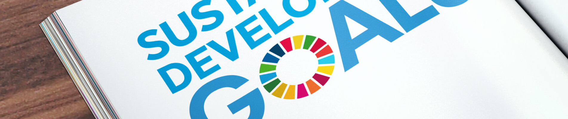 Sustainable Development Goals: tutto sugli SDGs