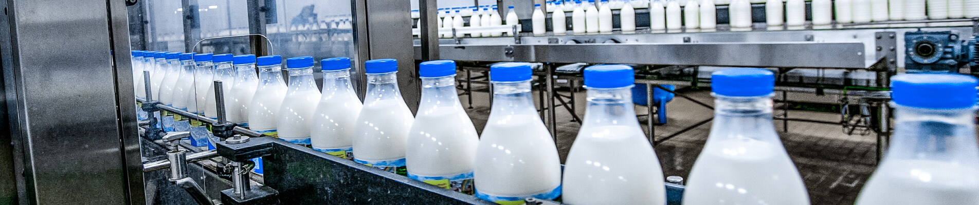Industria lattiero casearia: come e perché ridurre le emissioni di CO2