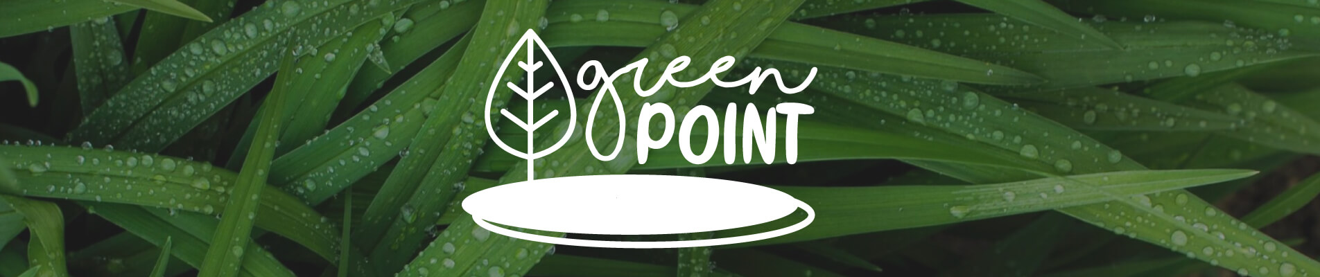 Tecno lancia green point: la newsletter dedicata alla sostenibilità ambientale