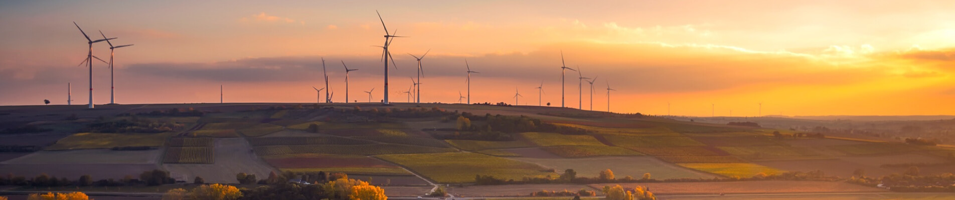 Agroecologia e certificazioni ambientali: preserviamo il futuro dell’Europa