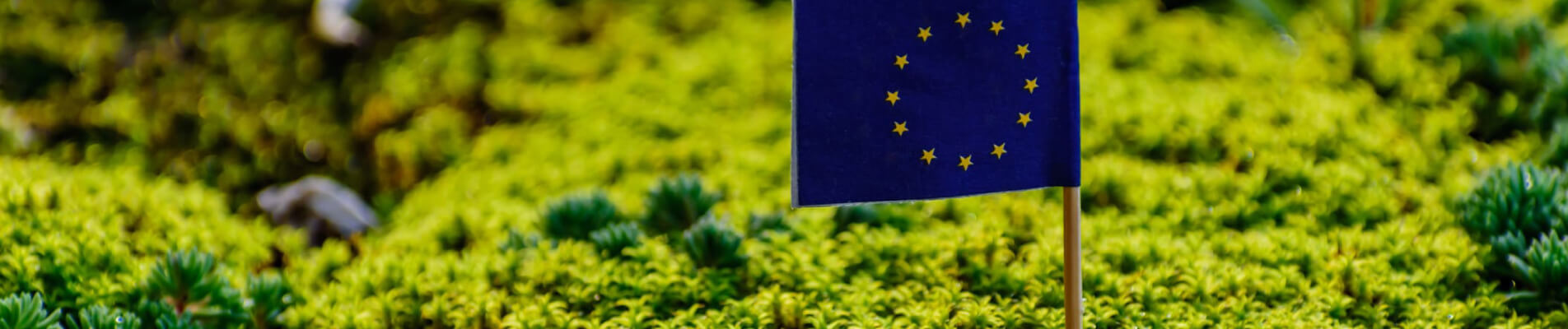 Economia circolare europea: un nuovo piano per ridurre sprechi ed emissioni