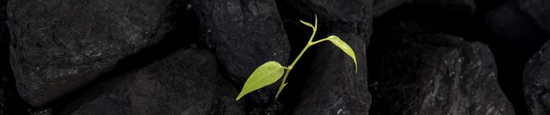 Carbon footprint: cos’è e perché è importante misurarla