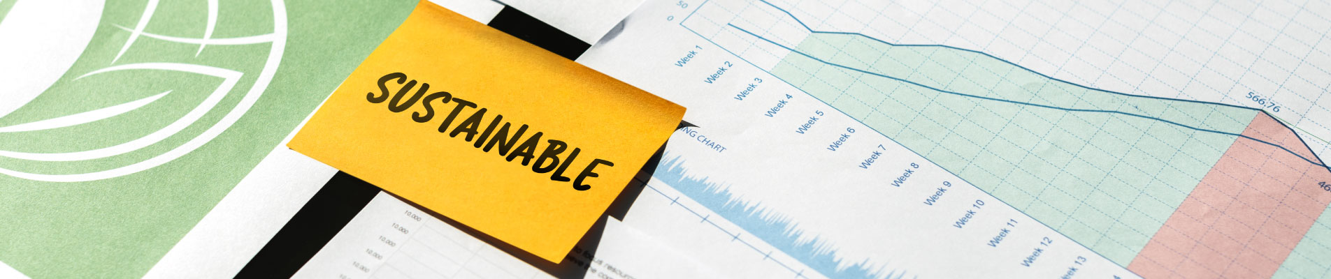 Report di sostenibilità: cos’è e perché è importante per le PMI