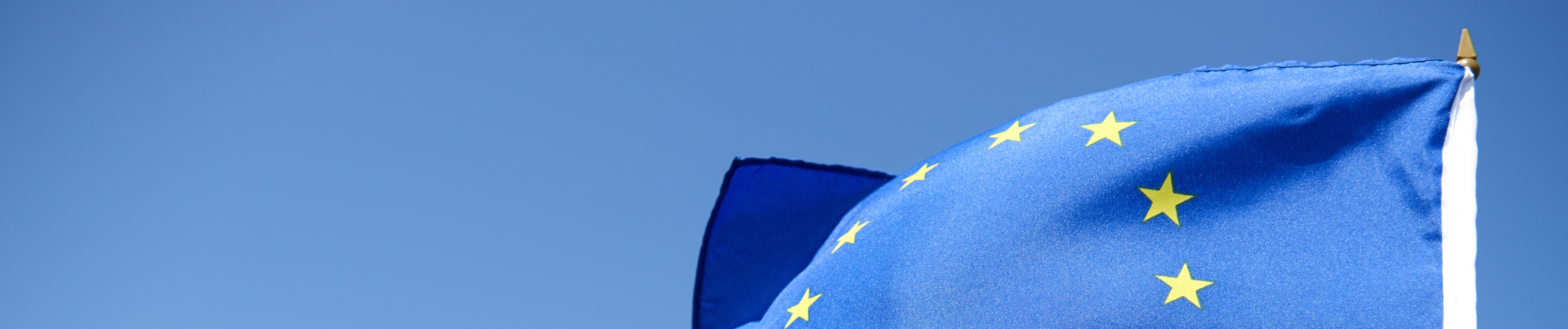 Standard ESRS e reporting aziendale: novità per il 2024