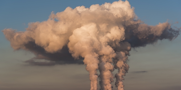 Carbon management: una strategia efficace per l’azienda e il pianeta