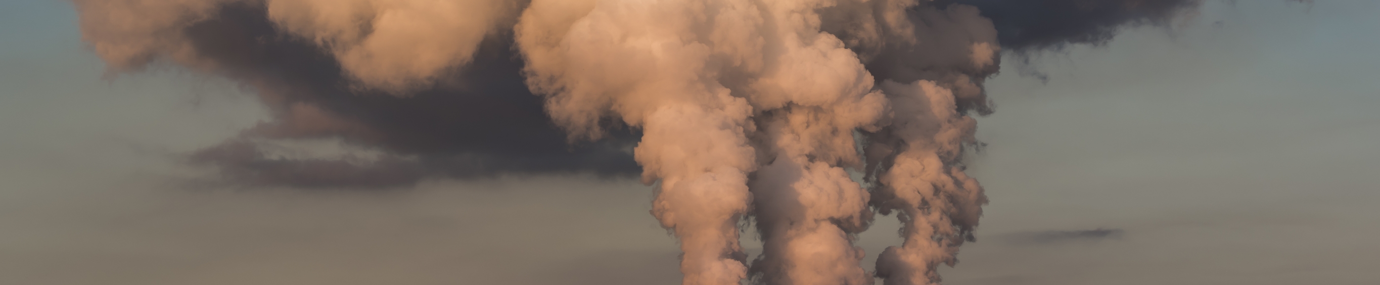 Carbon management: una strategia efficace per l’azienda e il pianeta