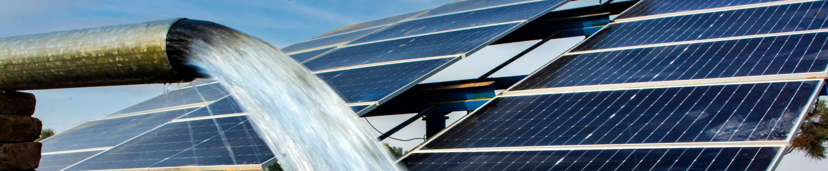 Il greenwashing come ostacolo alla (CSR) Corporate Social Responsibility