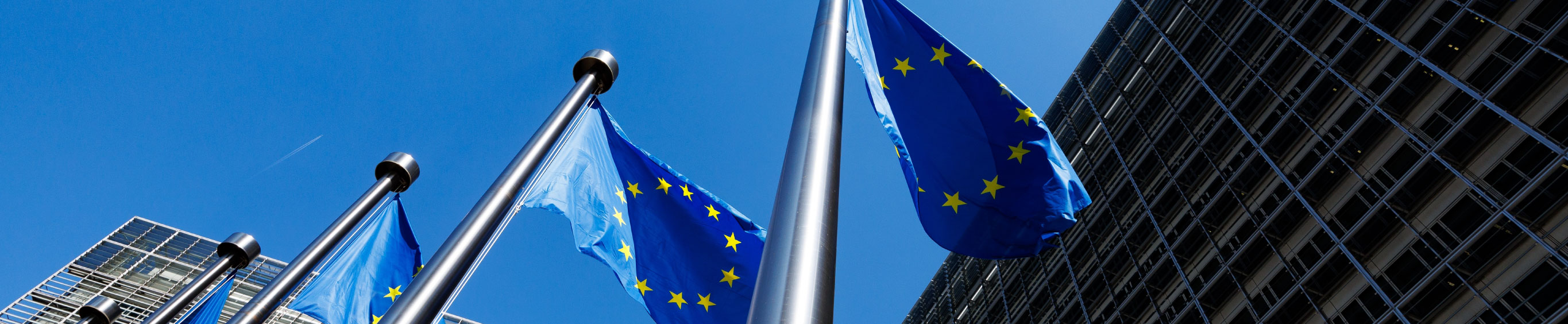Reporting ESG: la direttiva CSRD in Italia
